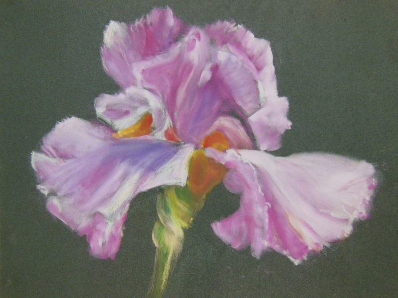 "Iris" by Luella Hartwell