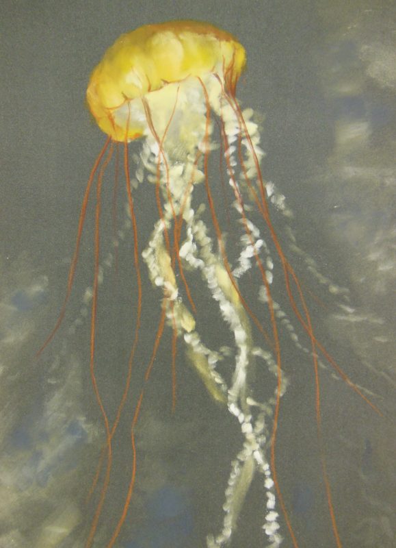 "Jellyfish" by Luella Hartwell